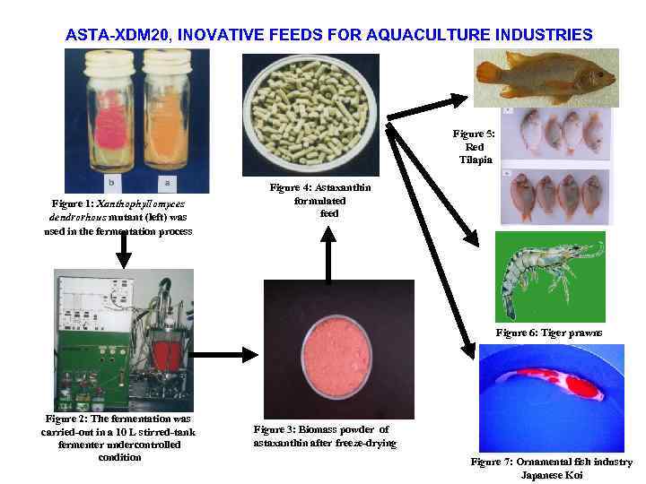 MICROBES IN FOOD AND BEVERAGE INDUSTRIES Microorganisms