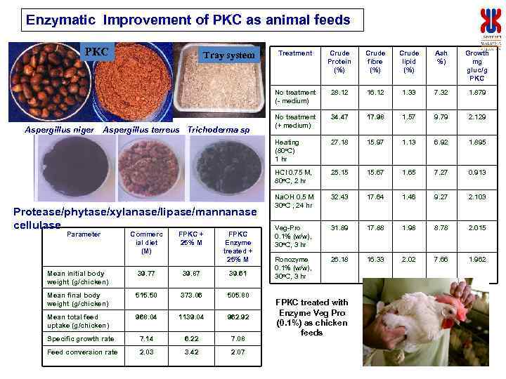 Enzymatic Improvement of PKC as animal feeds PKC Protease/phytase/xylanase/lipase/mannanase cellulase Parameter Commerc ial diet