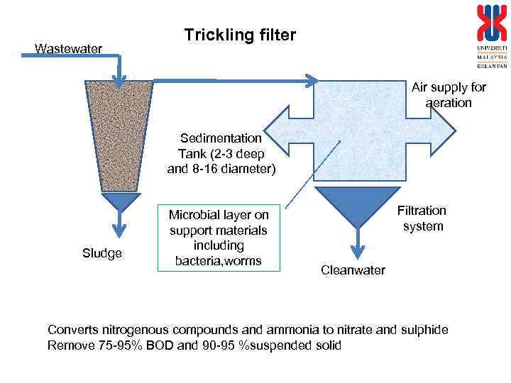 Wastewater Trickling filter Air supply for aeration Sedimentation Tank (2 -3 deep and 8