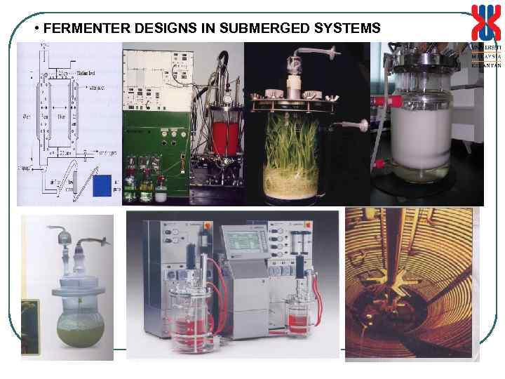  • FERMENTER DESIGNS IN SUBMERGED SYSTEMS 