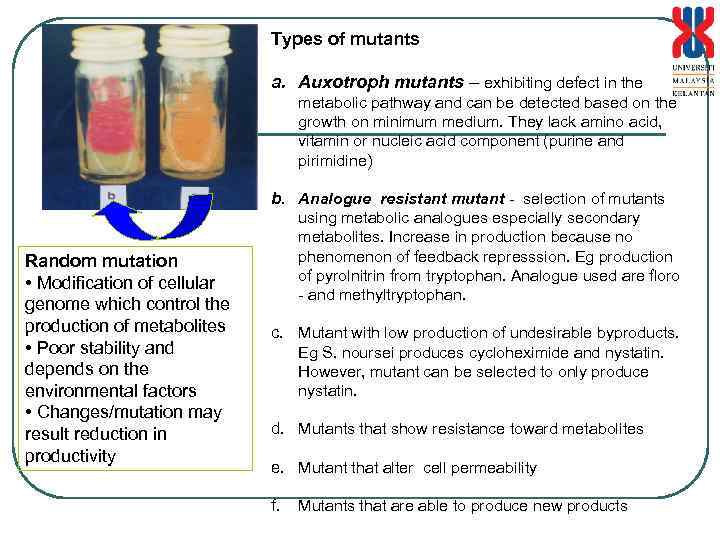 Types of mutants a. Auxotroph mutants – exhibiting defect in the metabolic pathway and