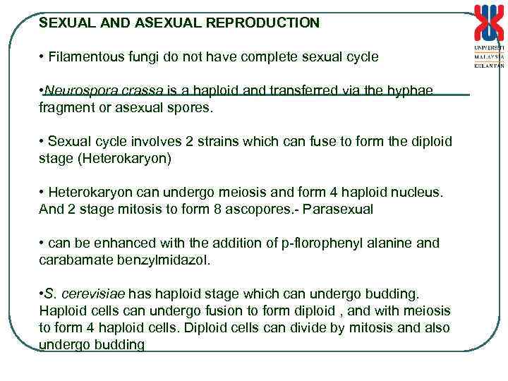 SEXUAL AND ASEXUAL REPRODUCTION • Filamentous fungi do not have complete sexual cycle •
