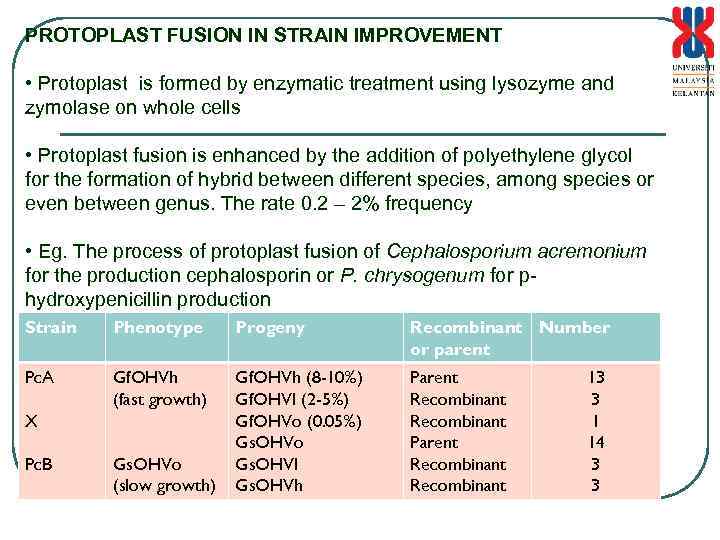 PROTOPLAST FUSION IN STRAIN IMPROVEMENT • Protoplast is formed by enzymatic treatment using lysozyme