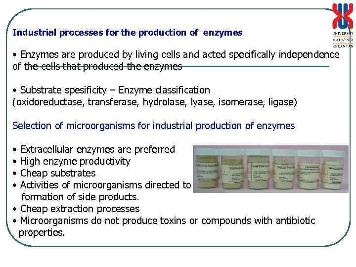 Industrial processes for the production of enzymes • Enzymes are produced by living cells