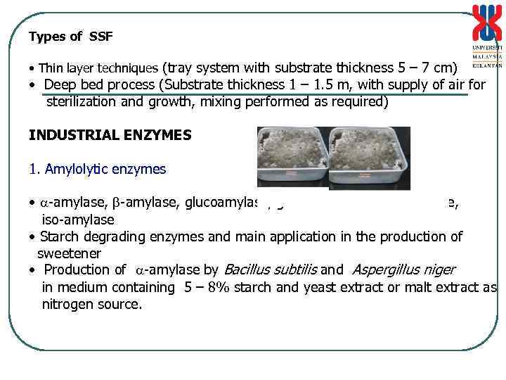 Types of SSF • Thin layer techniques (tray system with substrate thickness 5 –