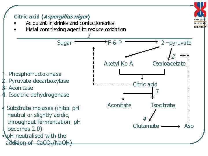 Citric acid (Aspergillus niger) • Acidulant in drinks and confectioneries • Metal complexing agent