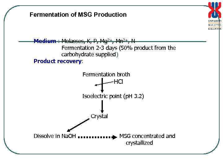 Fermentation of MSG Production Medium : Molasses, K, P, Mg 2+, Mn 2+, N