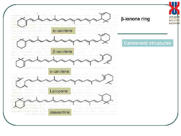 β-ionone ring α-carotene Carotenoid structures β-carotene γ-carotene Lycopene zeaxantine 
