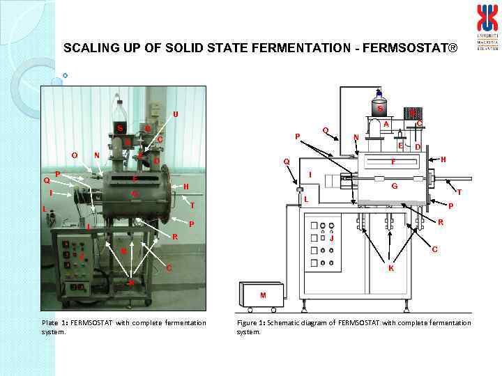 SCALING UP OF SOLID STATE FERMENTATION - FERMSOSTAT® S U S B O Q