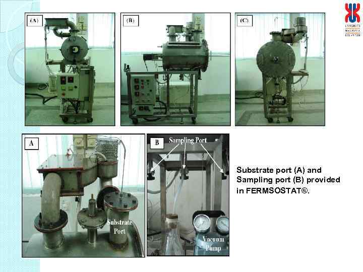 Substrate port (A) and Sampling port (B) provided in FERMSOSTAT®. 