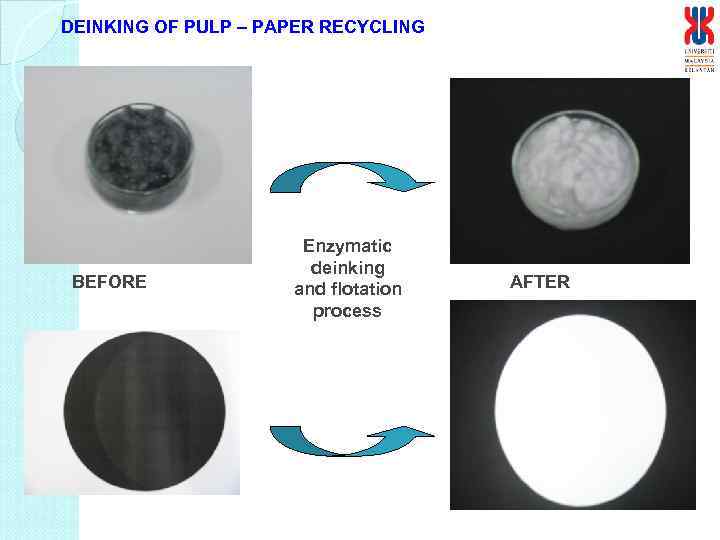 DEINKING OF PULP – PAPER RECYCLING BEFORE Enzymatic deinking and flotation process AFTER 