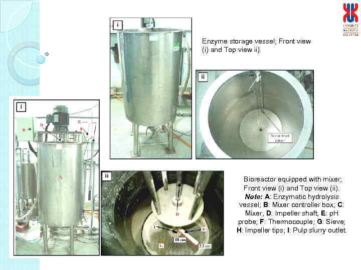 Enzyme storage vessel; Front view (i) and Top view ii). Bioreactor equipped with mixer;