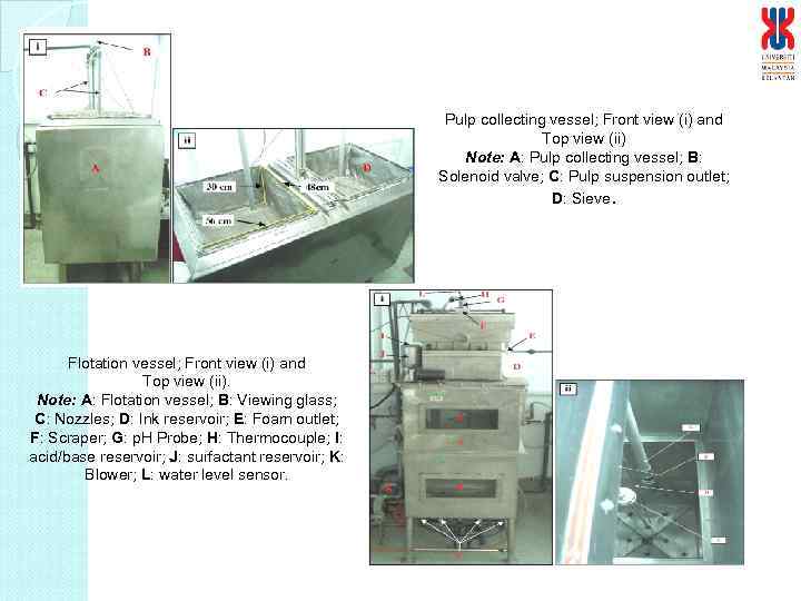 Pulp collecting vessel; Front view (i) and Top view (ii) Note: A: Pulp collecting