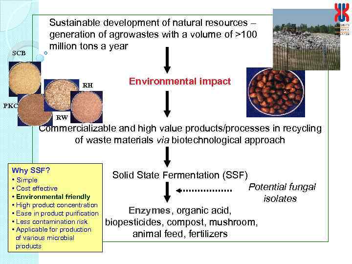 SCB Sustainable development of natural resources – generation of agrowastes with a volume of