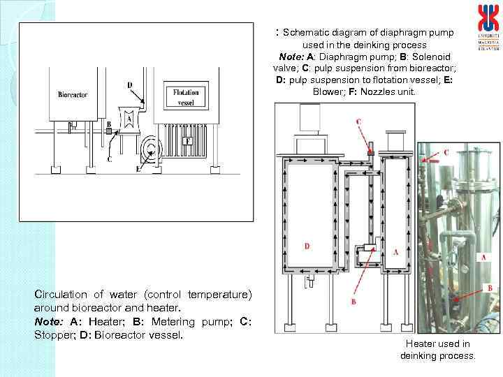 : Schematic diagram of diaphragm pump used in the deinking process Note: A: Diaphragm