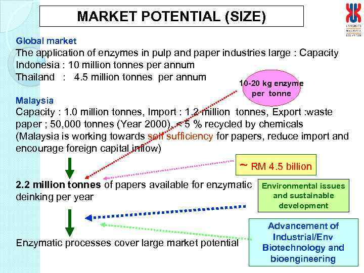 MARKET POTENTIAL (SIZE) Global market The application of enzymes in pulp and paper industries