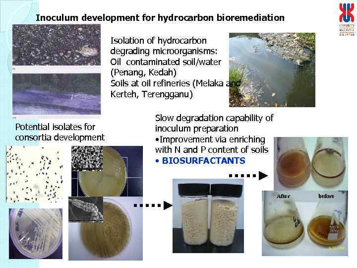 Inoculum development for hydrocarbon bioremediation Isolation of hydrocarbon degrading microorganisms: Oil contaminated soil/water (Penang,