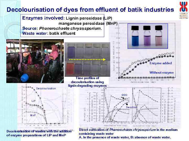 Decolourisation of dyes from effluent of batik industries Enzymes involved: Lignin peroxidase (Li. P)