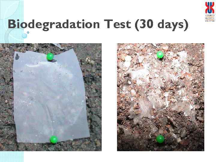 Biodegradation Test (30 days) 