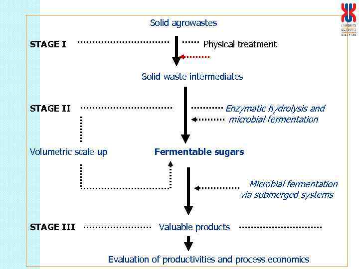 Solid agrowastes STAGE I Physical treatment Solid waste intermediates STAGE II Volumetric scale up