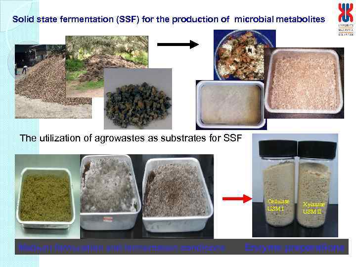 Solid state fermentation (SSF) for the production of microbial metabolites The utilization of agrowastes