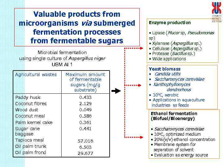 Valuable products from microorganisms via submerged fermentation processes from fermentable sugars Microbial fermentation usingle