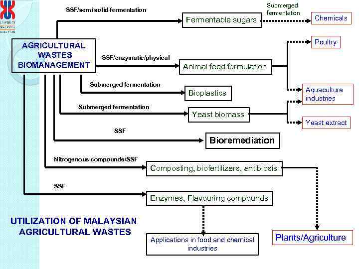 SSF/semi solid fermentation Fermentable sugars AGRICULTURAL WASTES BIOMANAGEMENT Submerged fermentation Chemicals Poultry SSF/enzymatic/physical Animal