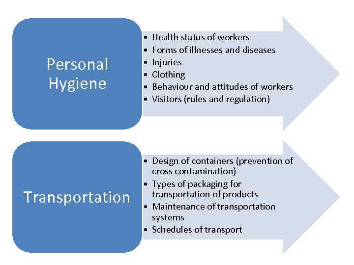 Personal Hygiene Transportation • • • Health status of workers Forms of illnesses and