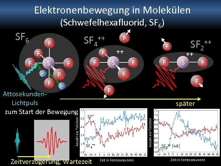 Elektronenbewegung in Molekülen (Schwefelhexafluorid, SF 6) SF 6 SF 4++ F F S e.