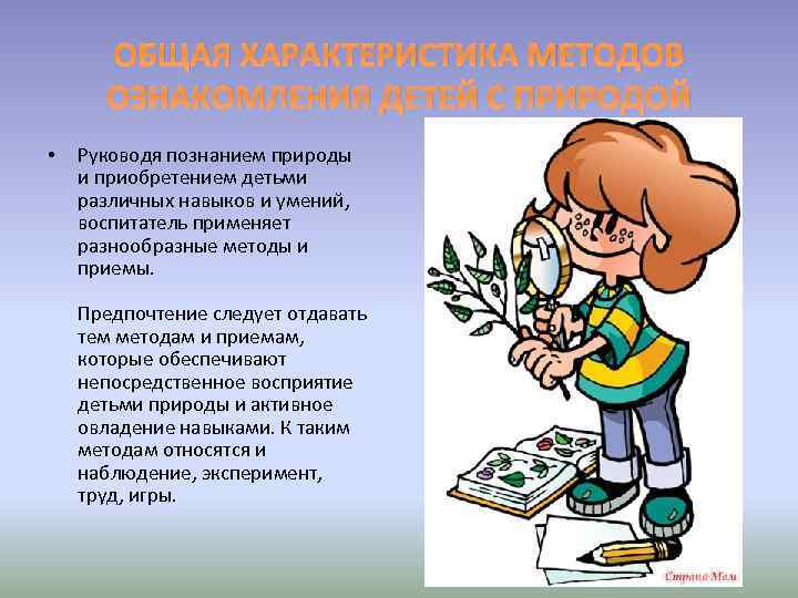 ОБЩАЯ ХАРАКТЕРИСТИКА МЕТОДОВ ОЗНАКОМЛЕНИЯ ДЕТЕЙ С ПРИРОДОЙ • Руководя познанием природы и приобретением детьми