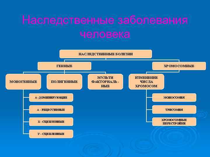 Наследственные заболевания человека НАСЛЕДСТВЕННЫЕ БОЛЕЗНИ ГЕННЫЕ МОНОГЕННЫЕ ПОЛИГЕННЫЕ ХРОМОСОМНЫЕ МУЛЬТИ ФАКТОРИАЛЬ НЫЕ ИЗМЕНЕНИЕ ЧИСЛА