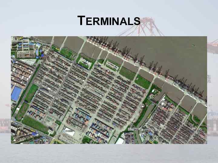 TERMINALS 