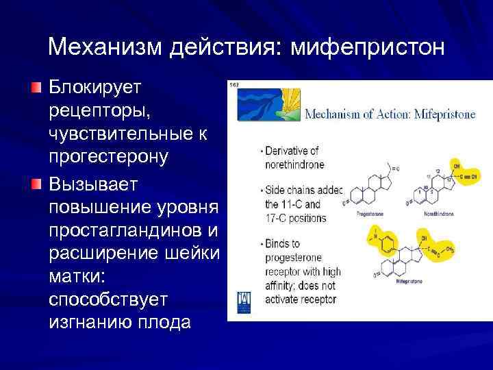 Механизм действия: мифепристон Блокирует рецепторы, чувствительные к прогестерону Вызывает повышение уровня простагландинов и расширение