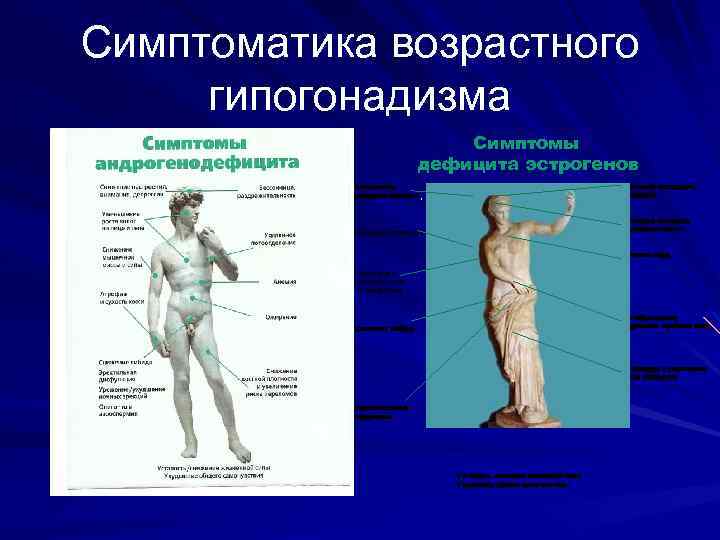 Симптоматика возрастного гипогонадизма Симптомы дефицита эстрогенов Бессонница, раздражительность, Снижение настроения, депрессия Ночная потливость Снижение