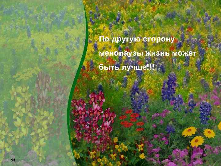 По другую сторону менопаузы жизнь может быть лучше!!! 58 