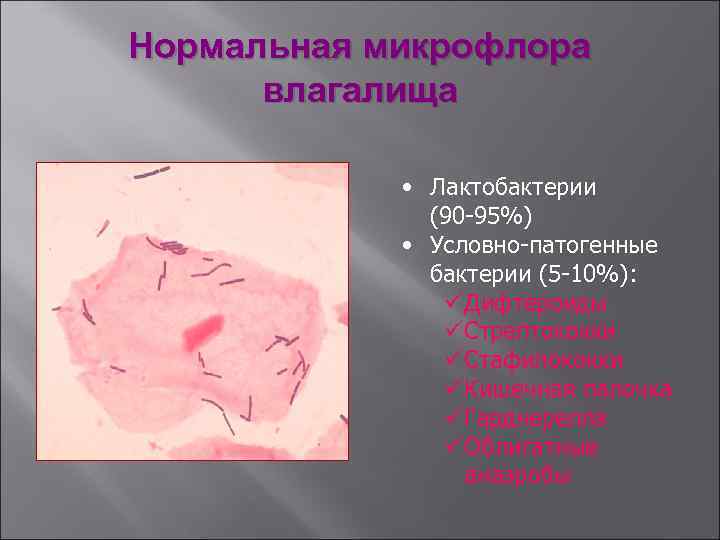 Микробиоценоз это. Морфология бактериальной Флоры влагалища. Патогенная микрофлора влагалища. Условно патогенные микроорганизмы влагалища. Нормальная и патогенная микрофлора влагалища.