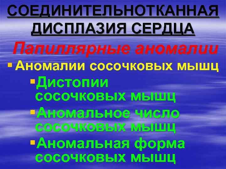 СОЕДИНИТЕЛЬНОТКАННАЯ ДИСПЛАЗИЯ СЕРДЦА Папиллярные аномалии § Аномалии сосочковых мышц §Дистопии сосочковых мышц §Аномальное число