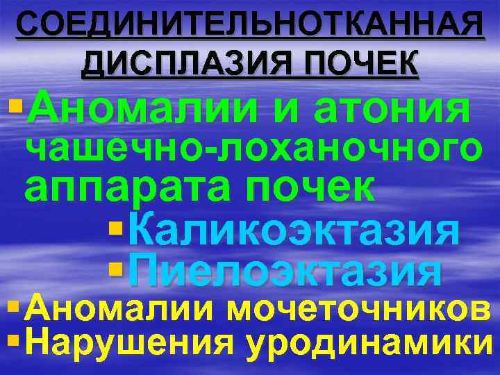 СОЕДИНИТЕЛЬНОТКАННАЯ ДИСПЛАЗИЯ ПОЧЕК §Аномалии и атония чашечно-лоханочного аппарата почек §Каликоэктазия §Пиелоэктазия § Аномалии мочеточников