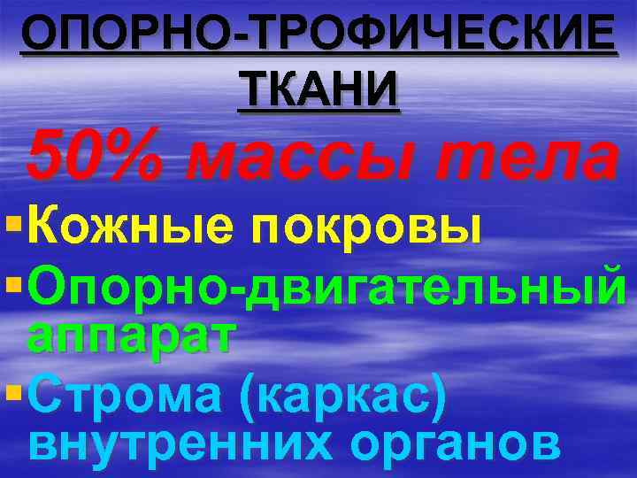 ОПОРНО-ТРОФИЧЕСКИЕ ТКАНИ 50% массы тела §Кожные покровы §Опорно-двигательный аппарат §Строма (каркас) внутренних органов 