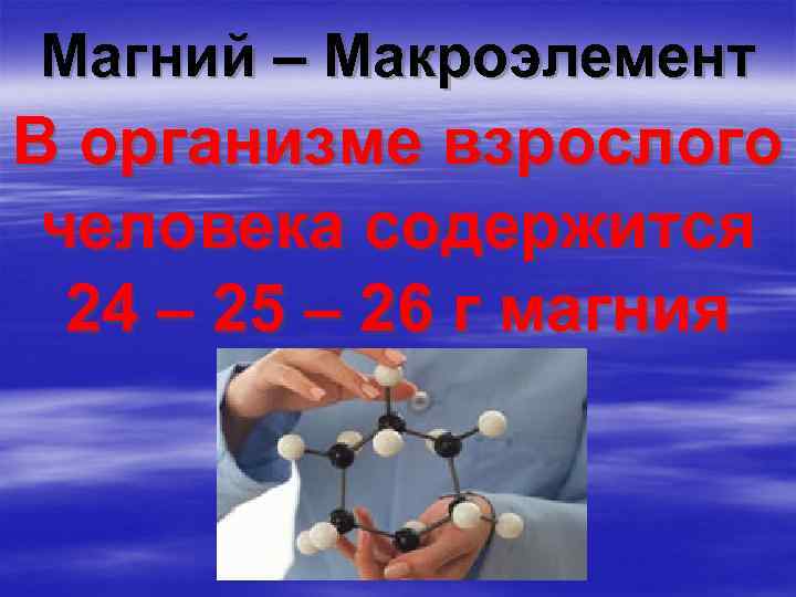 Магний – Макроэлемент В организме взрослого человека содержится 24 – 25 – 26 г