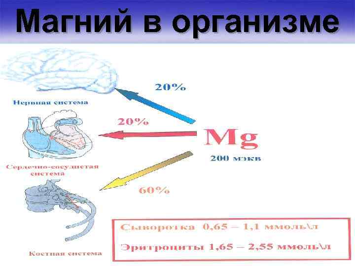 Магнезия по схема по гуревичу