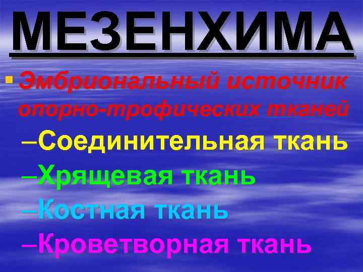 МЕЗЕНХИМА § Эмбриональный источник опорно-трофических тканей –Соединительная ткань –Хрящевая ткань –Костная ткань –Кроветворная ткань