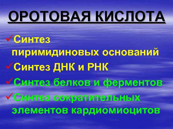 ОРОТОВАЯ КИСЛОТА üСинтез пиримидиновых оснований üСинтез ДНК и РНК üСинтез белков и ферментов üСинтез