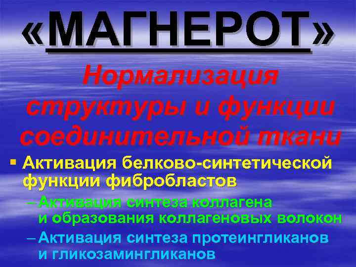  «МАГНЕРОТ» Нормализация структуры и функции соединительной ткани § Активация белково-синтетической функции фибробластов –