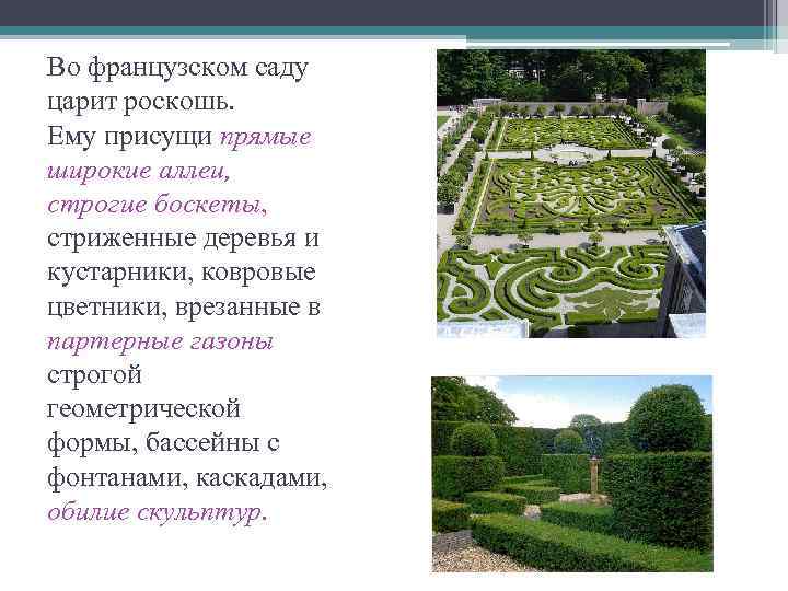 Во французском саду царит роскошь. Ему присущи прямые широкие аллеи, строгие боскеты, стриженные деревья