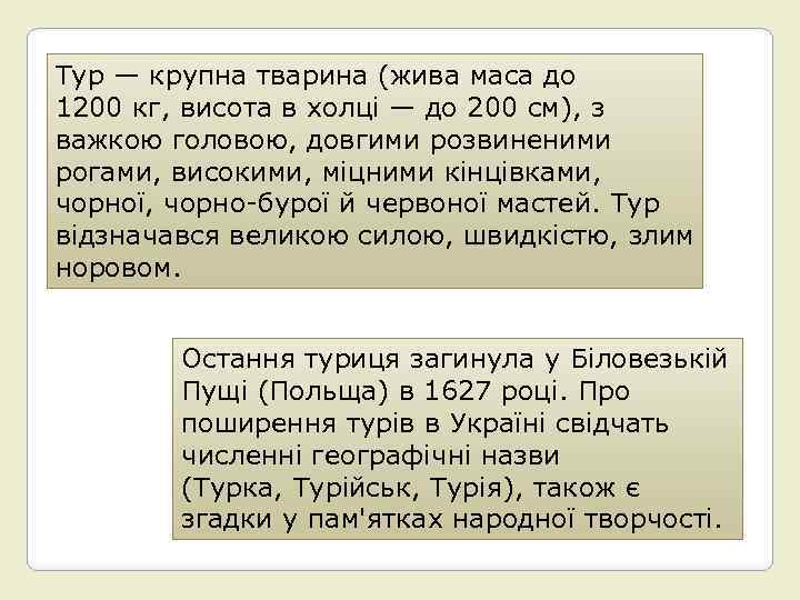 Тур — крупна тварина (жива маса до 1200 кг, висота в холці — до