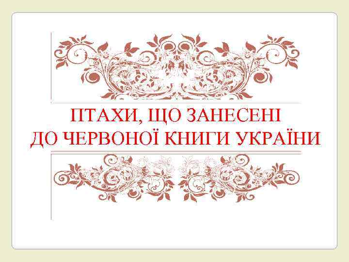 ПТАХИ, ЩО ЗАНЕСЕНІ ДО ЧЕРВОНОЇ КНИГИ УКРАЇНИ 