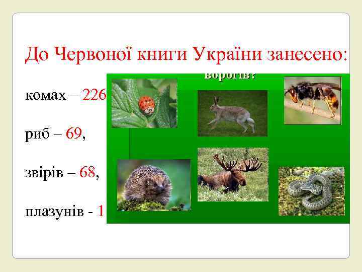 До Червоної книги України занесено: комах – 226, риб – 69, звірів – 68,