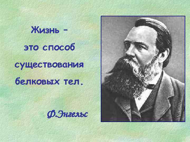 Жизнь – это способ существования белковых тел. Ф. Энгельс 