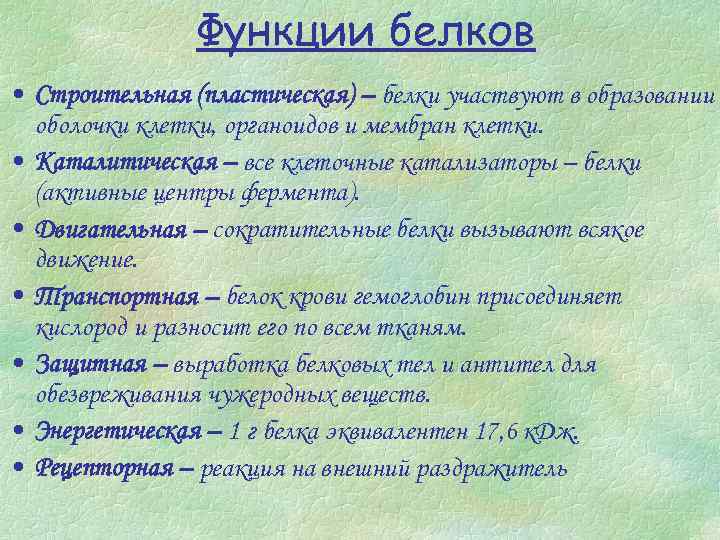 Функции белков • Строительная (пластическая) – белки участвуют в образовании оболочки клетки, органоидов и